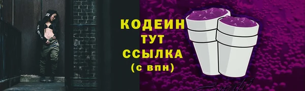 твердый Гусев