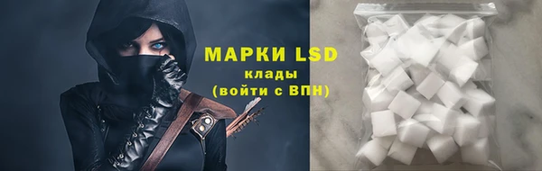 твердый Гусев