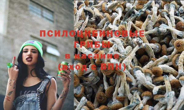 твердый Гусев