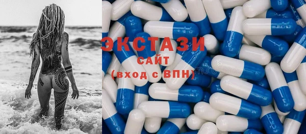 твердый Гусев