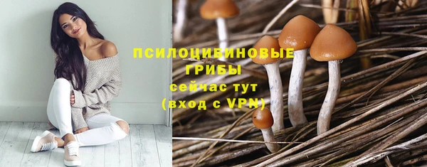 прущие крисы Наволоки