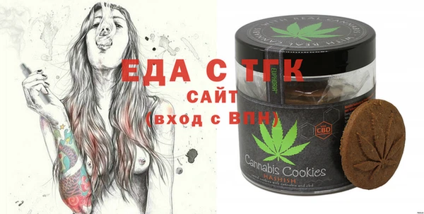 твердый Гусев