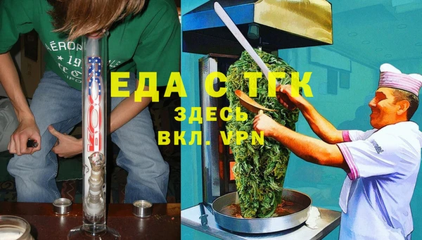 твердый Гусев